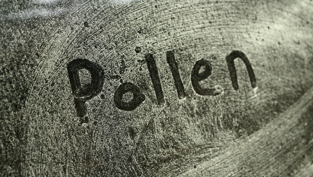 Close-up of pollen dust on a surface during spring allergy season